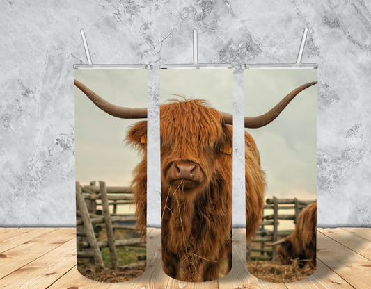 Highland Cow brown